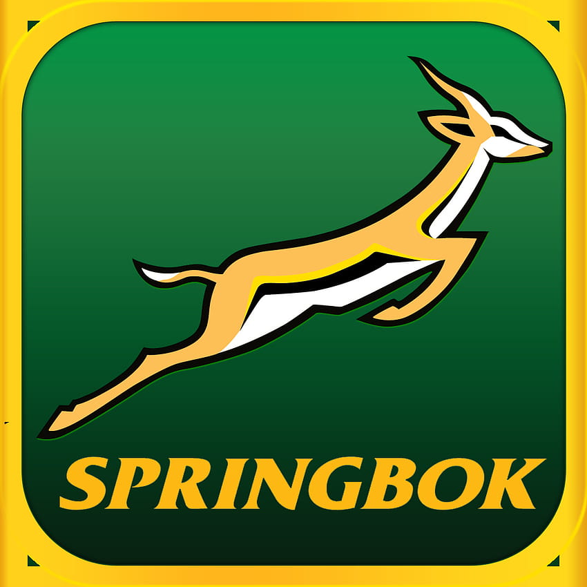 Springbok